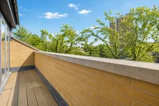 Courland Grove, Stockwell
