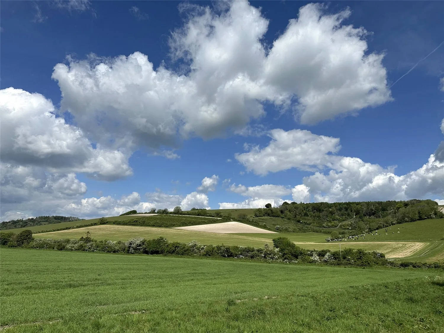 East Dean, Chichester, PO18 photo 13