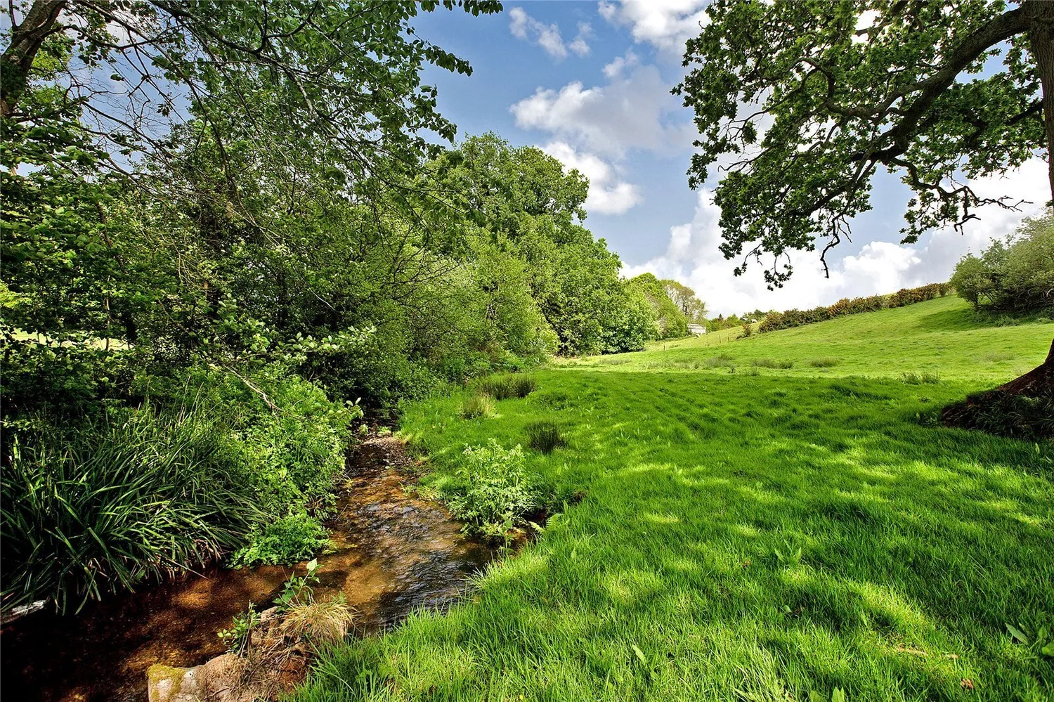 Sherford, Kingsbridge, TQ7 photo 19