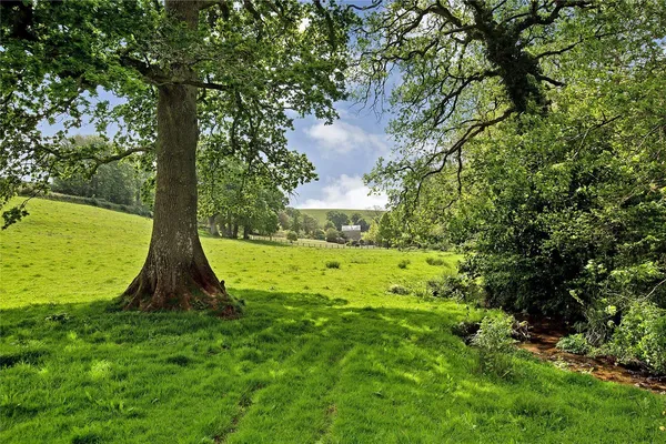 Sherford, Kingsbridge, TQ7 photo 24