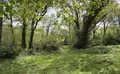 Property image gallery