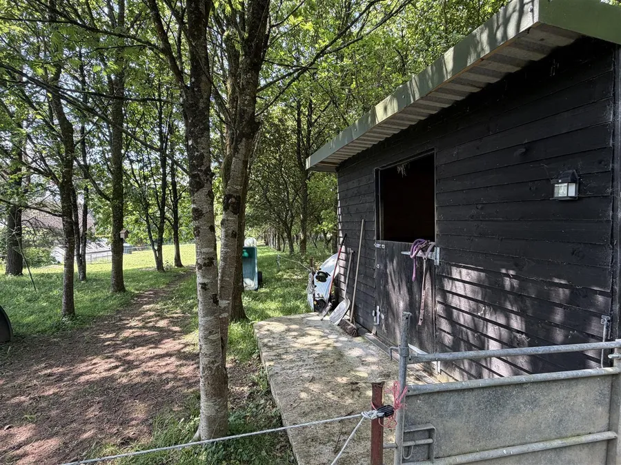 Property Image 29