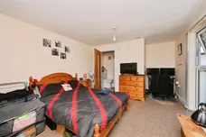 Collins Meadow, HARLOW