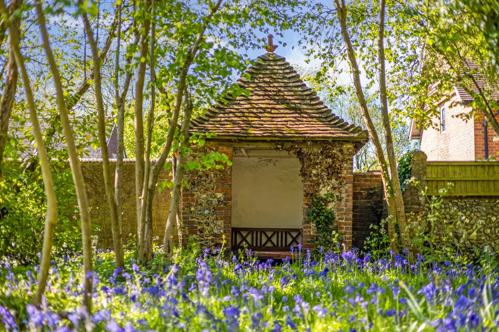 South Street, Ditchling, BN6 photo 19
