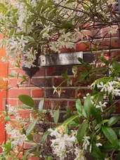 Brooksby Street, London, N1 photo 10