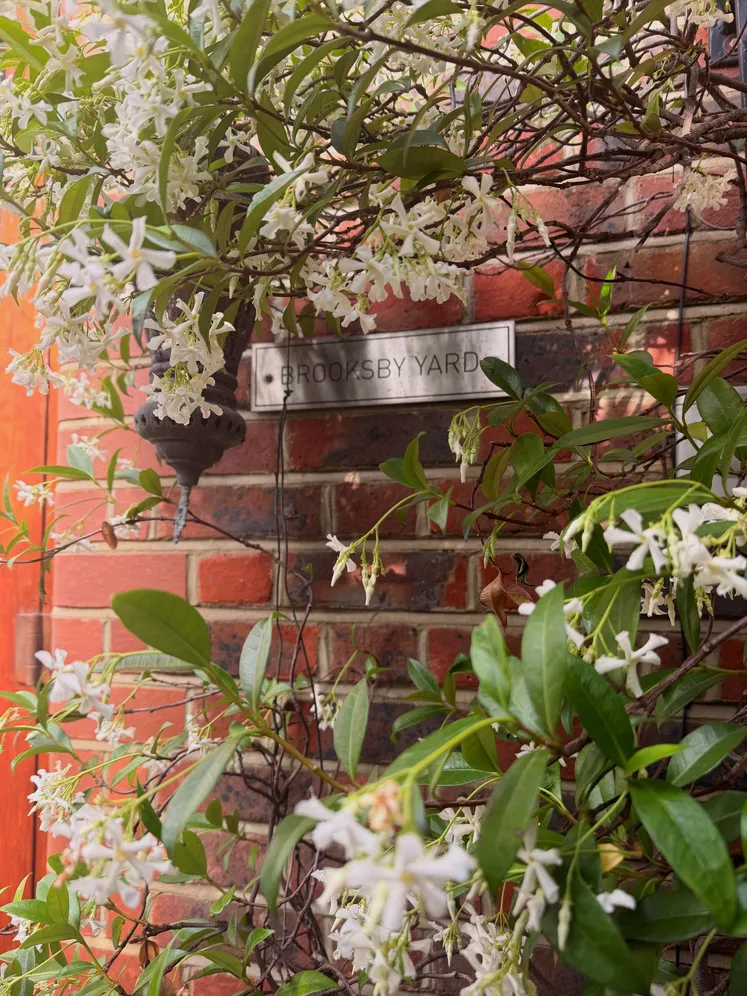 Brooksby Street, London, N1 photo 10
