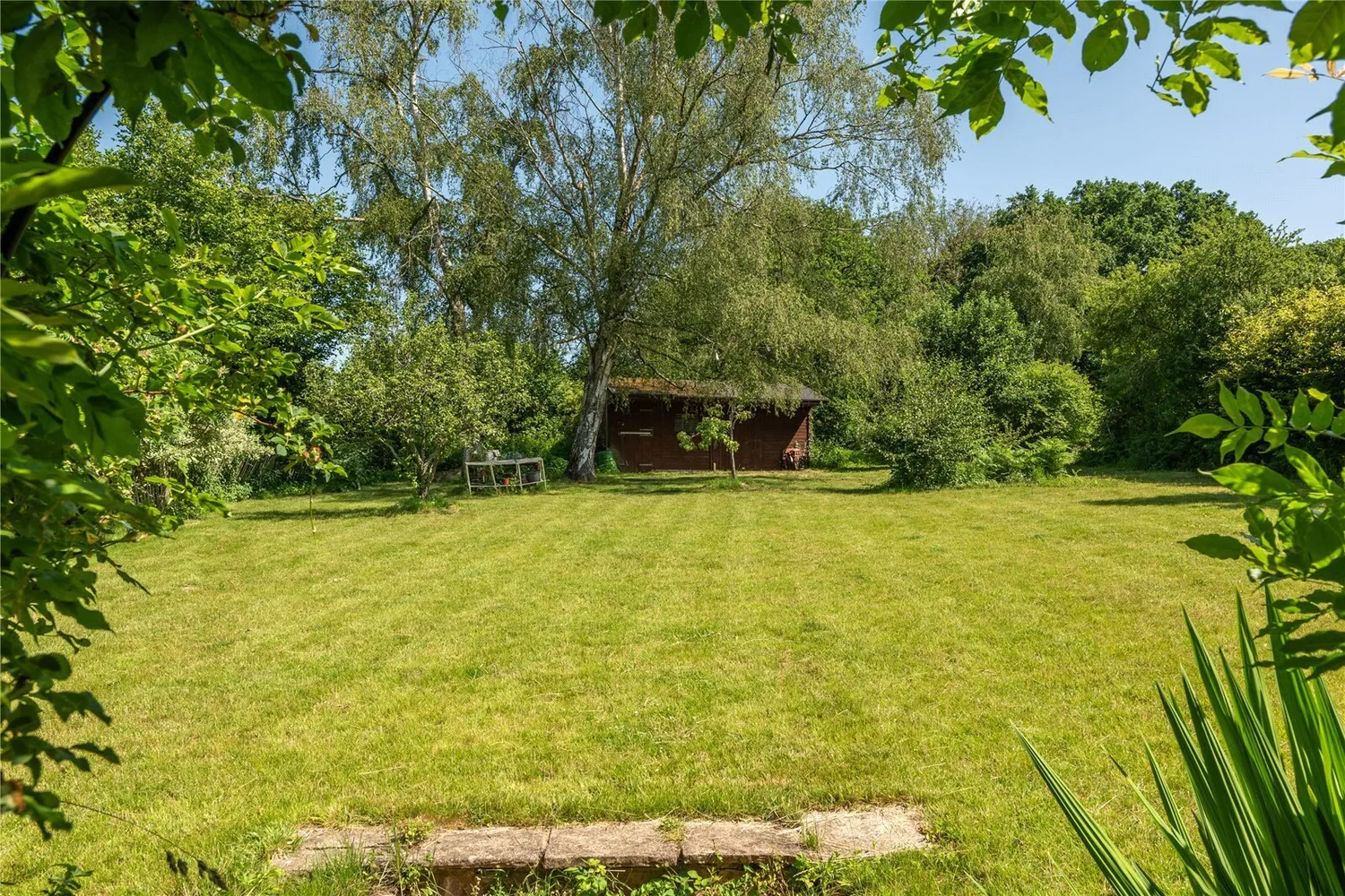 Dorking Road, Abinger Hammer, RH5 photo 6