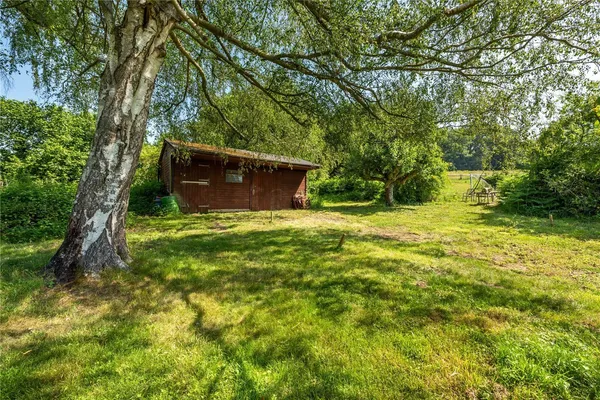 Dorking Road, Abinger Hammer, RH5 photo 20