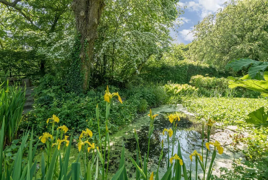 Property Image 29