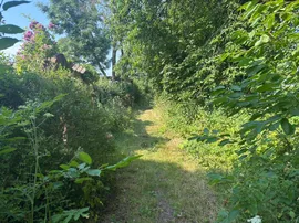 Church Lane, Clayworth, RETFORD photo