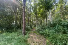 Church Lane, Clayworth, RETFORD
