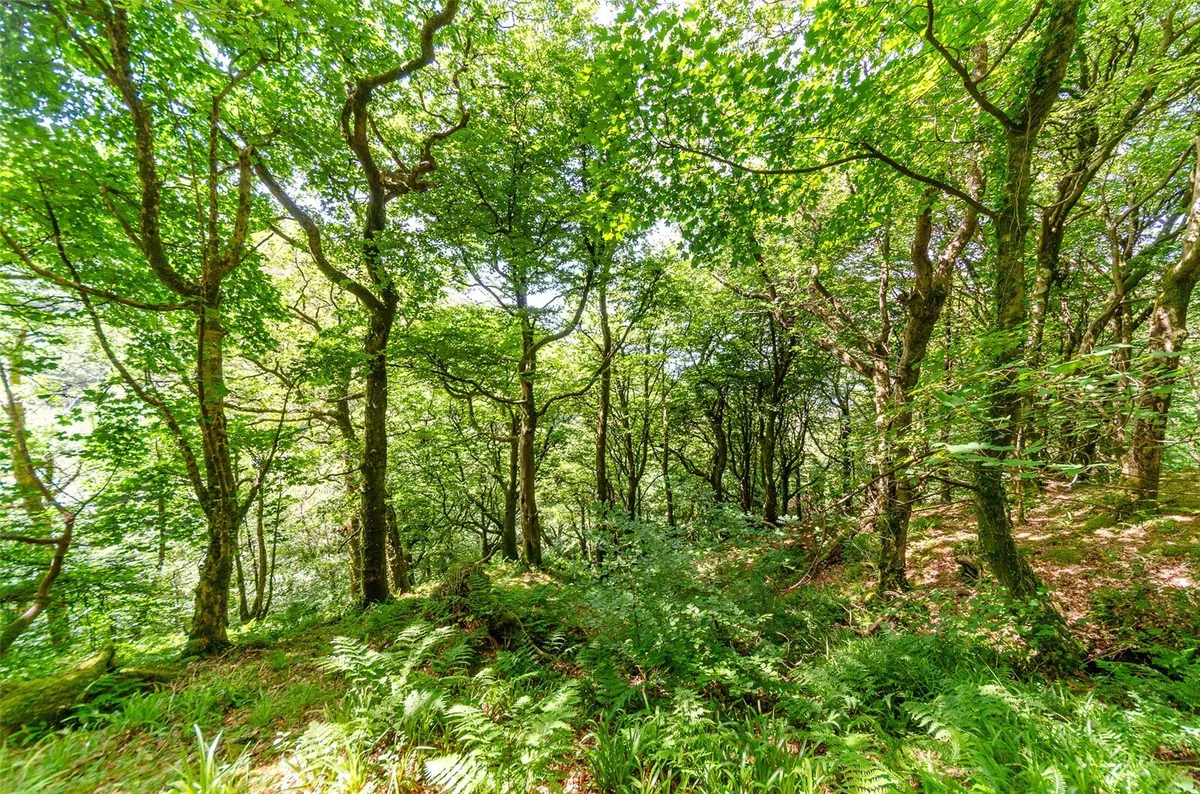 Clynnogfawr, Caernarfon, Gwynedd, LL54