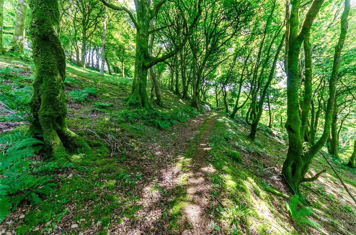 Clynnogfawr, Caernarfon, Gwynedd, LL54