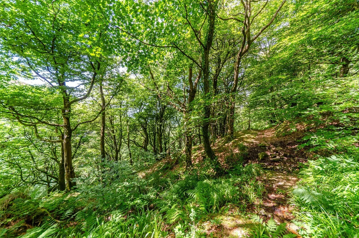 Clynnogfawr, Caernarfon, Gwynedd, LL54