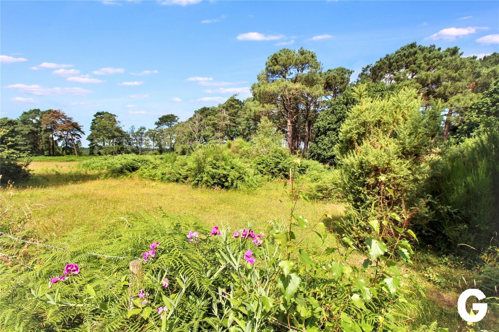 Hurn Road, Matchams, Ringwood, Hampshire, BH24 Image 13