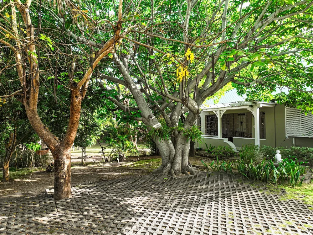 SANDHURST AVENUE, KINGSTO Kingston  St. Andrew