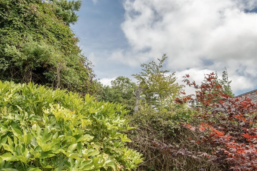 Property Image 53