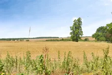 Leckhampstead Road, Wicken, Milton Keynes