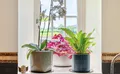 Property image gallery