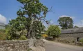 Property image gallery