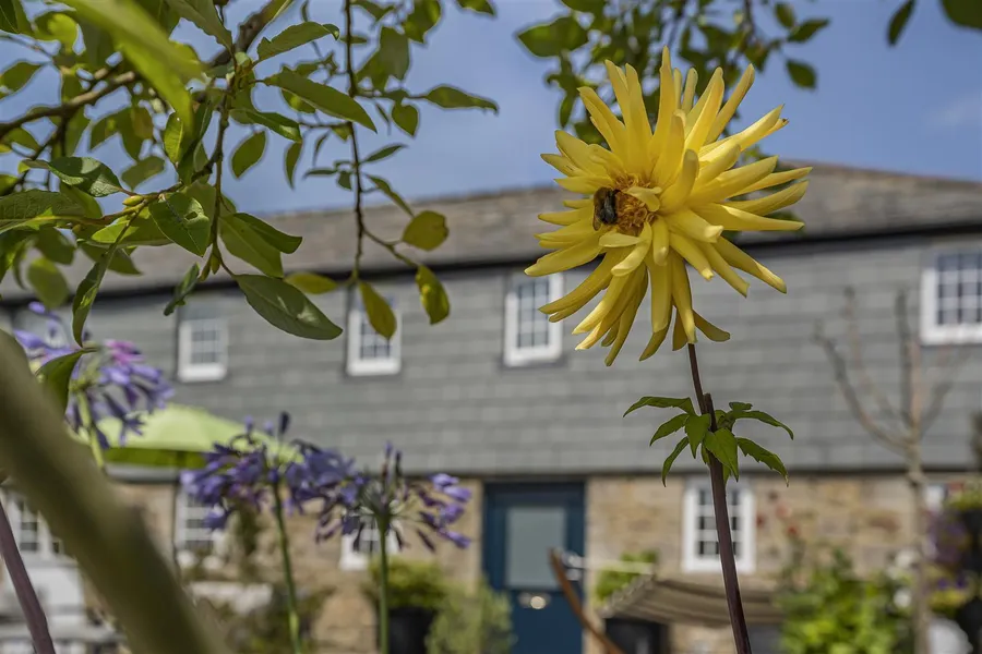 Property Image 34