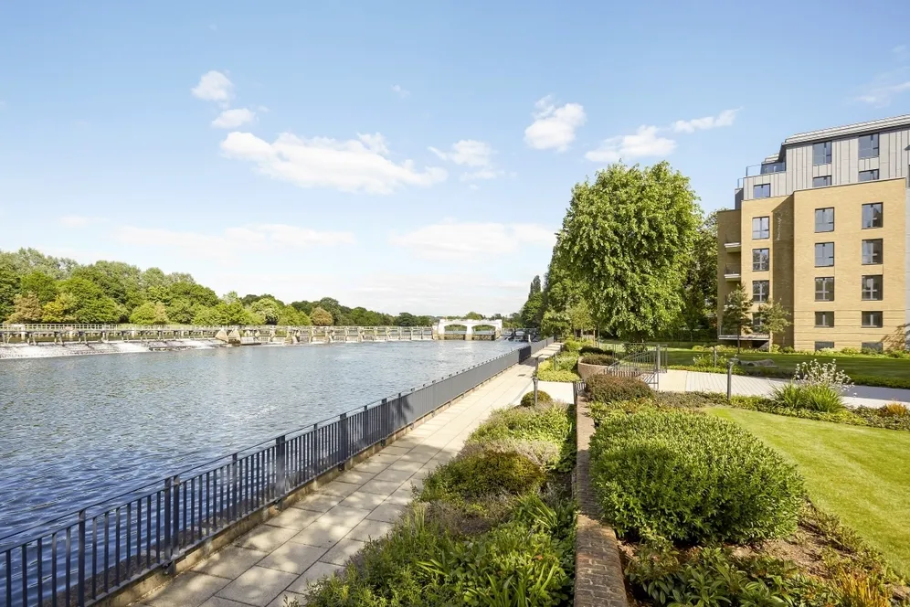 Pinewood Gardens Teddington TW11 photo 9