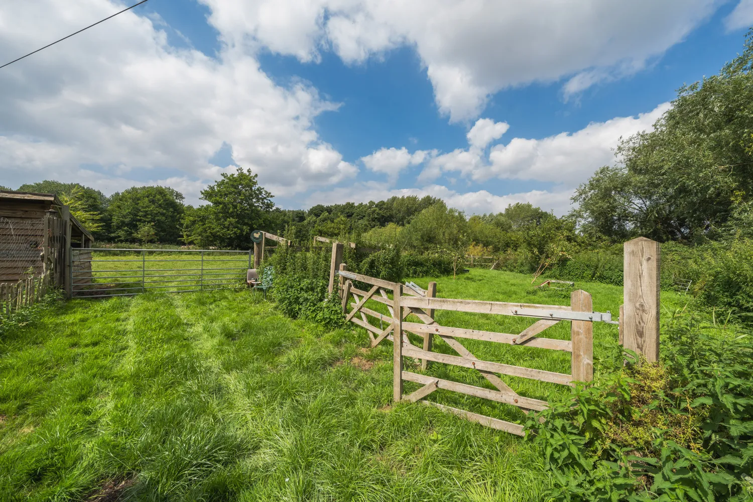 Bridge Street, Loddon, NR14 photo 22