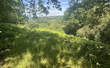 Middlewood, North Hill, Launceston