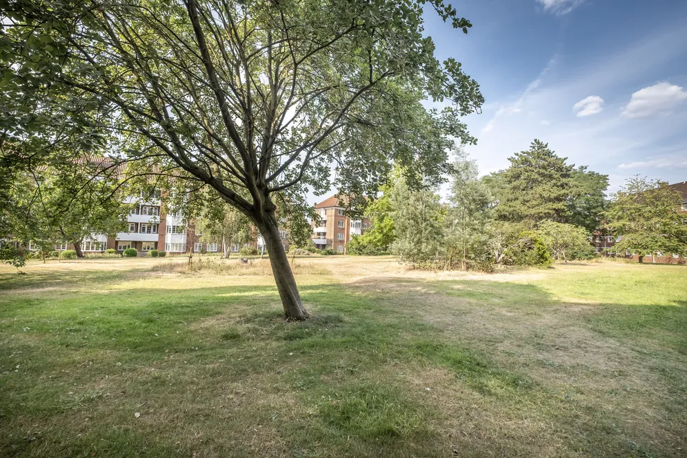 Sheen Road, Richmond, TW10 photo 15