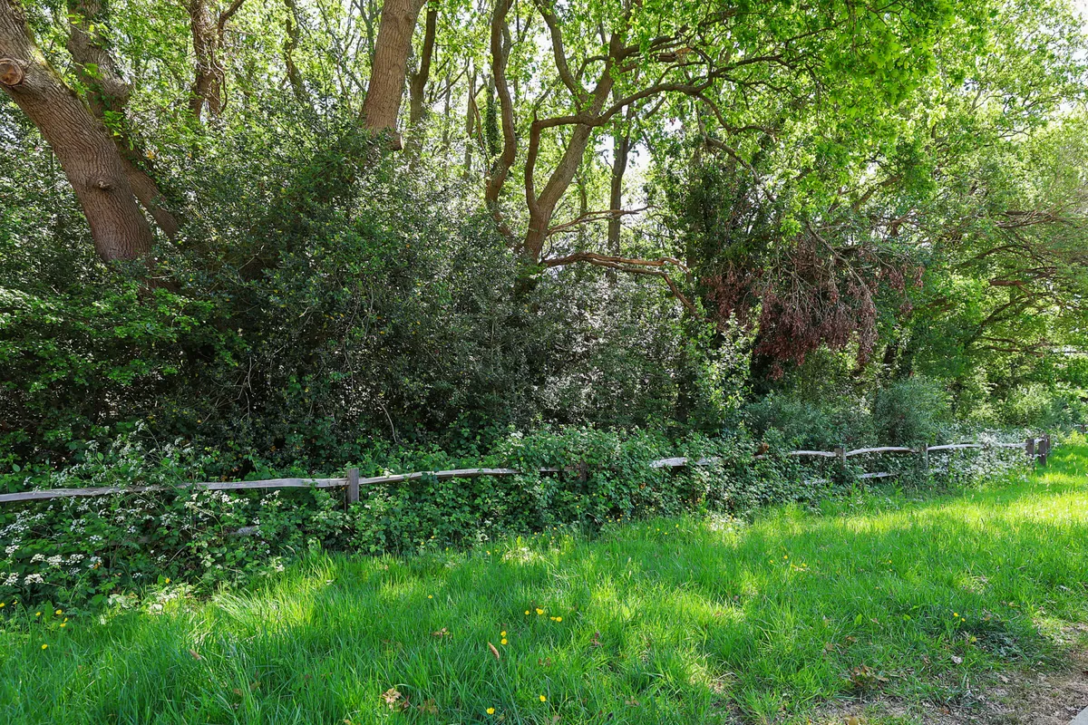 Tyrell Way, Horley, Surrey, RH6