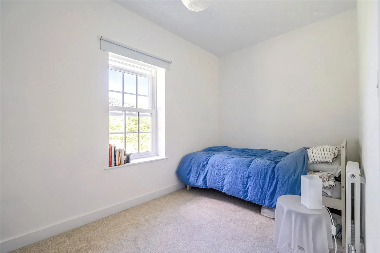 Holman Park, Camborne, TR14 photo 11