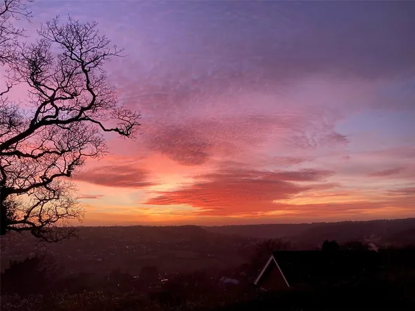 Timber Hill, Lyme Regis, DT7 photo 9