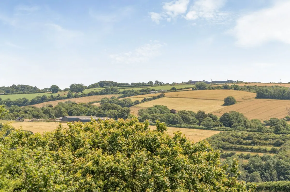 Chestnut Way, Loddiswell