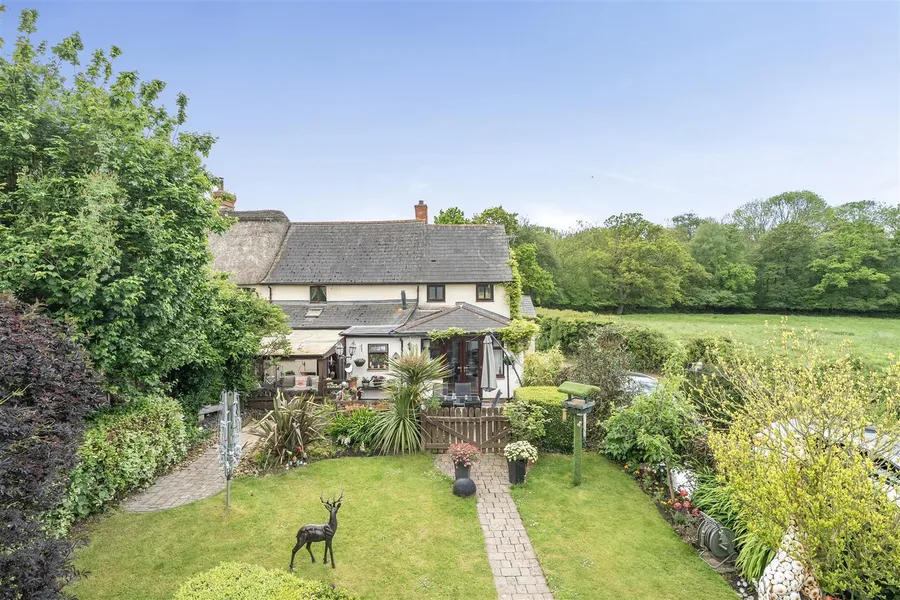 Property Image 22