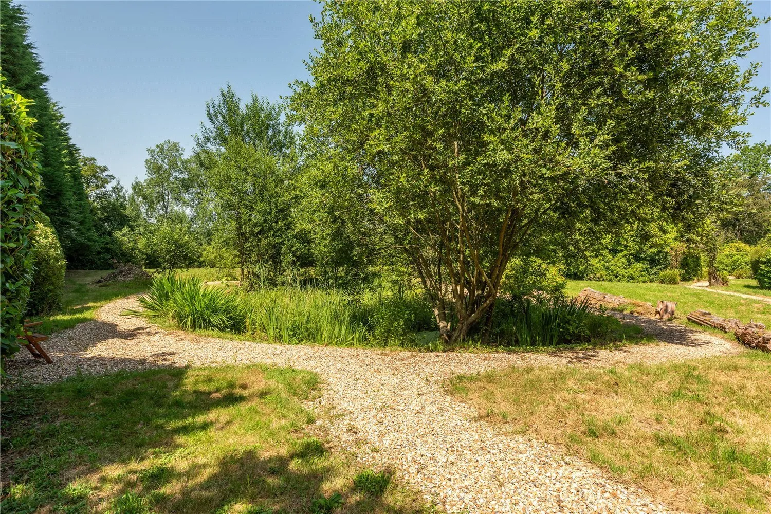 Ockley Road, Beare Green, RH5 photo 3