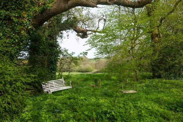 Chiddingly, East Sussex, BN8 photo 12