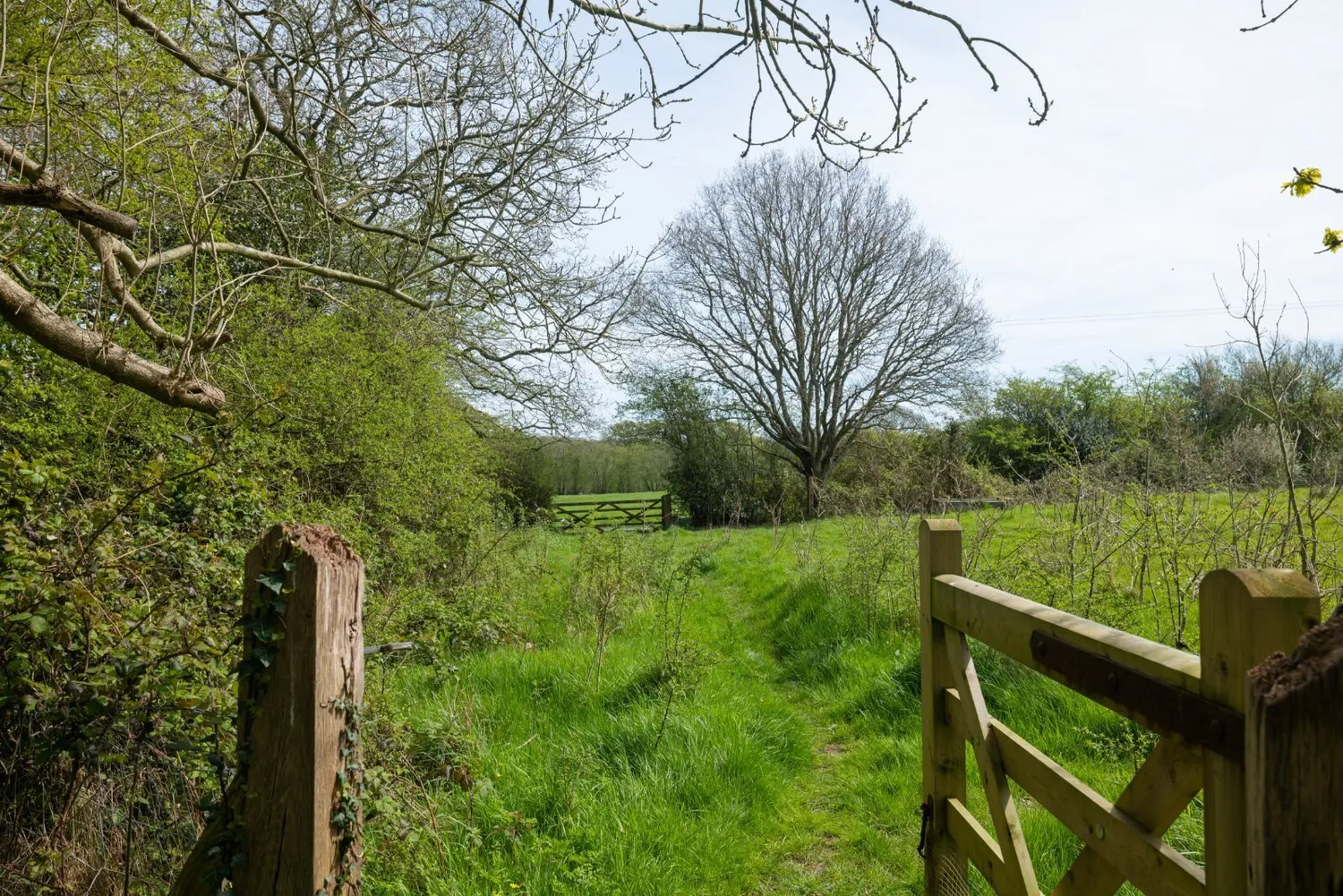 Chiddingly, East Sussex, BN8 photo 13