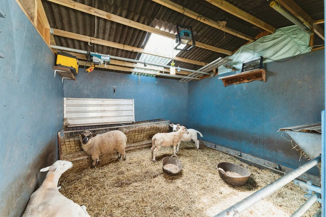Property photo 15