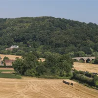 Property 34