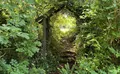 Property image gallery