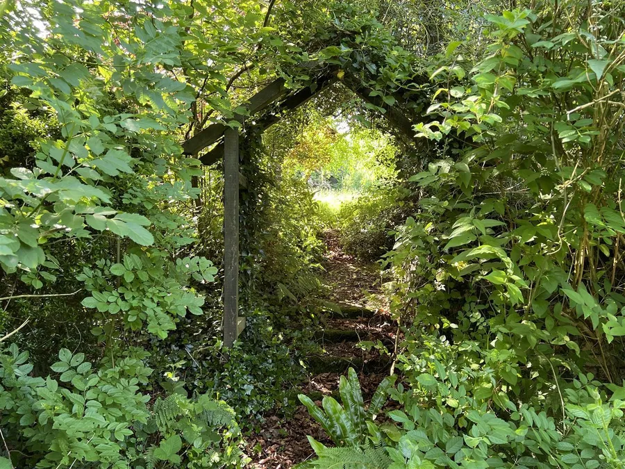 Property Image 23