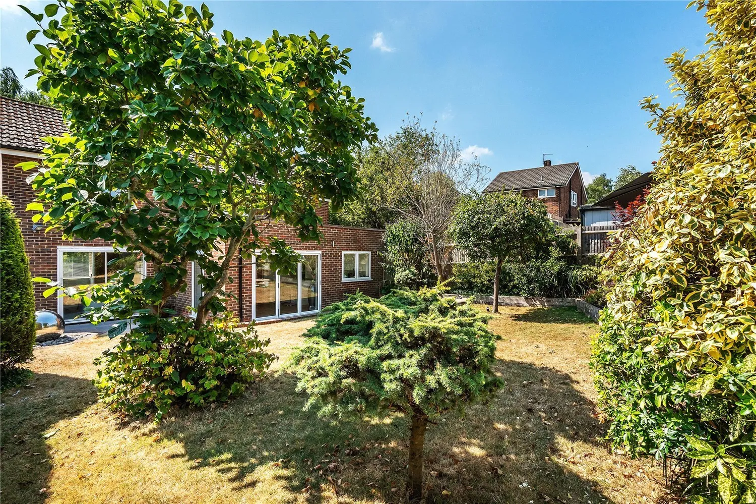 Daneshill, Redhill, RH1 photo 4
