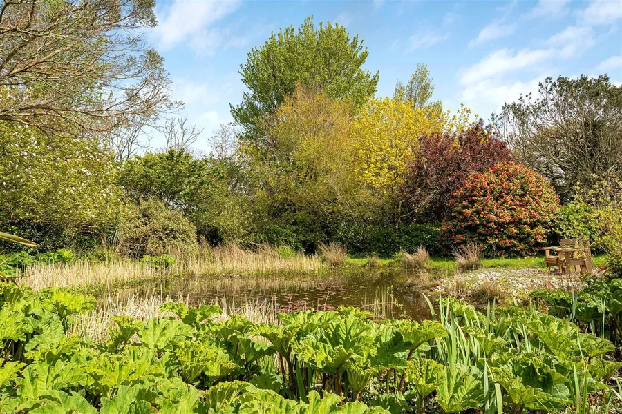 Property Image 39