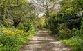 Property image gallery