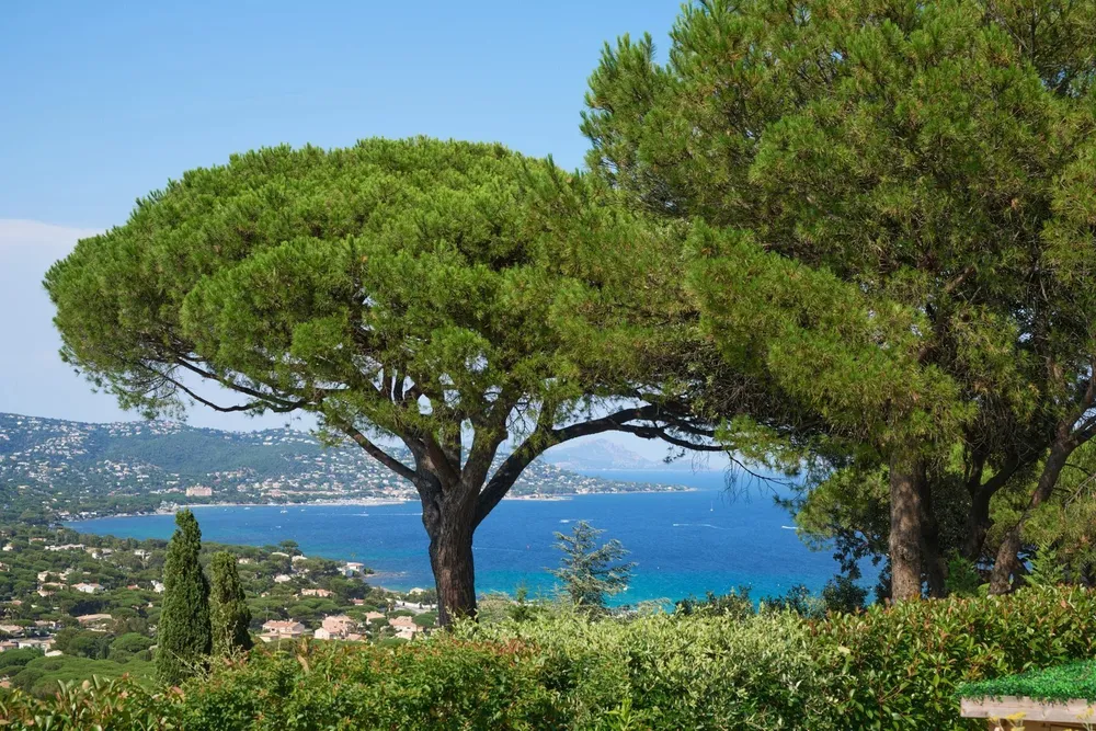 Sainte-Maxime, 83120, France