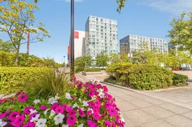 Property responsive