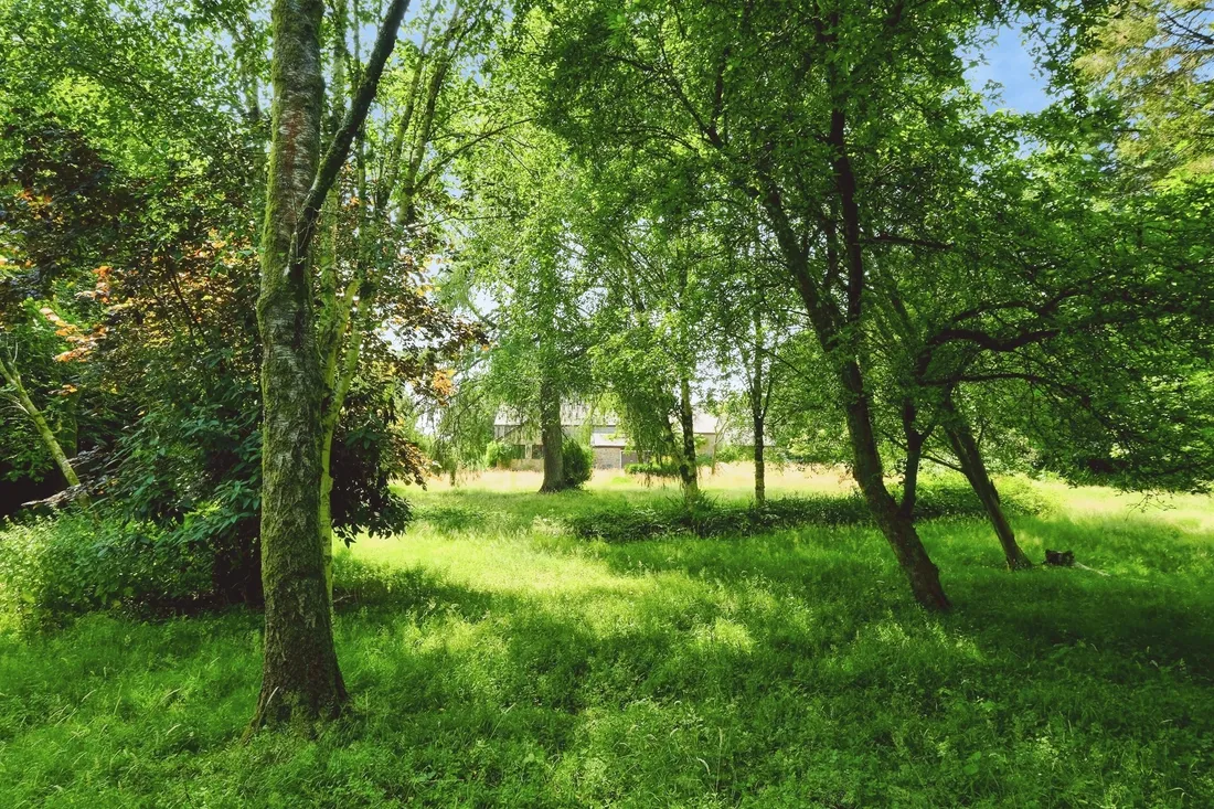 Property photo 24