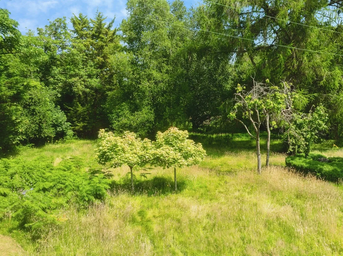 Property photo 27
