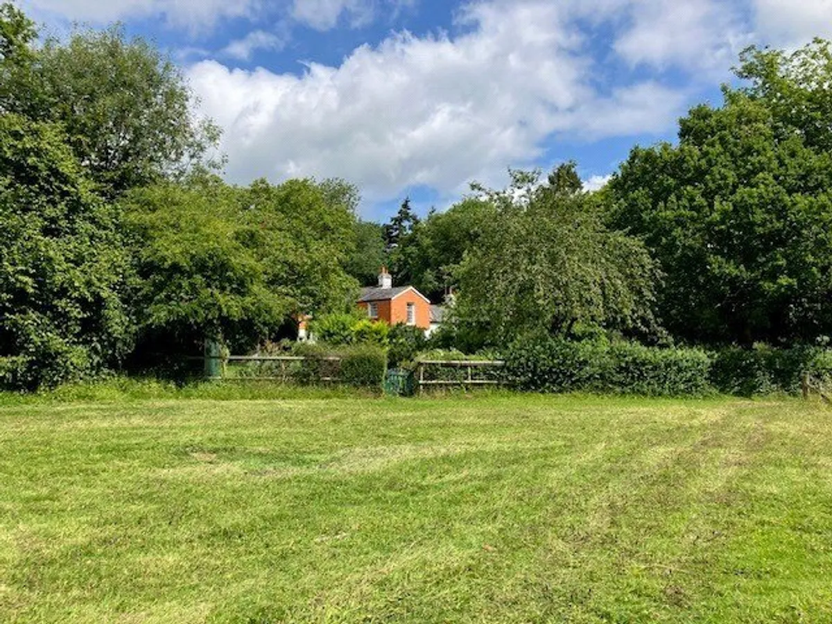 The Rose, Ramsdell, RG26
