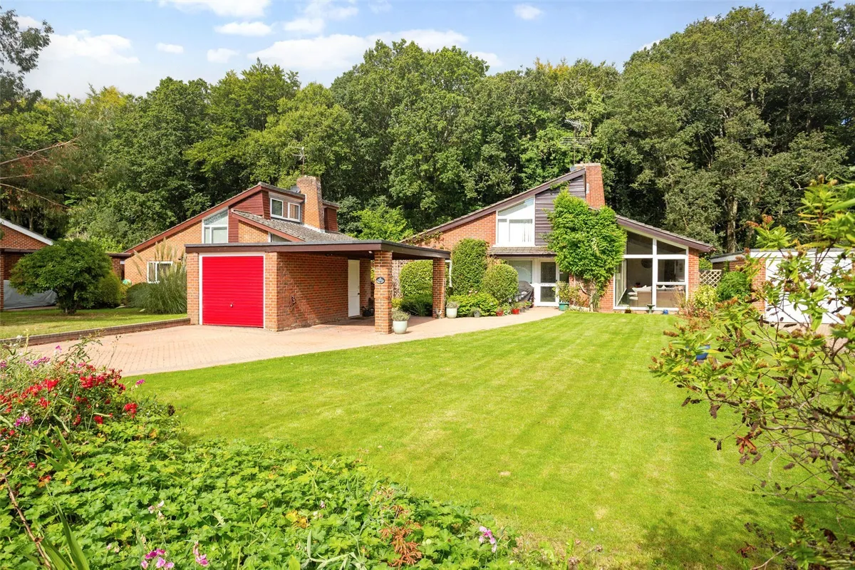 Bluebell Hollow, Baughurst, RG26